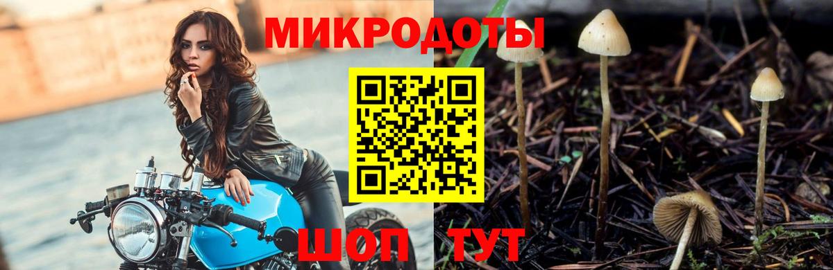 Галлюциногенные грибы прущие грибы  Вход с VPN  Прокопьевск  Галлюциногенные грибы Psilocybe 